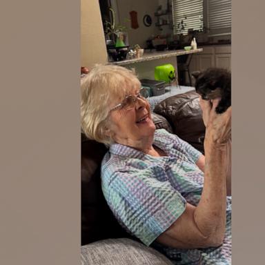 VIDEO: 92-year-old can't get over adorable kitten