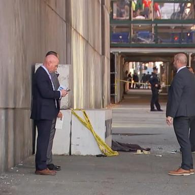 VIDEO: Man arrested after deadly stabbing spree in New York City