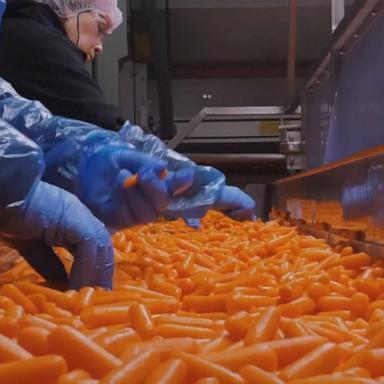 VIDEO: Woman who got sick from deadly E. coli breakout in carrots speaks out