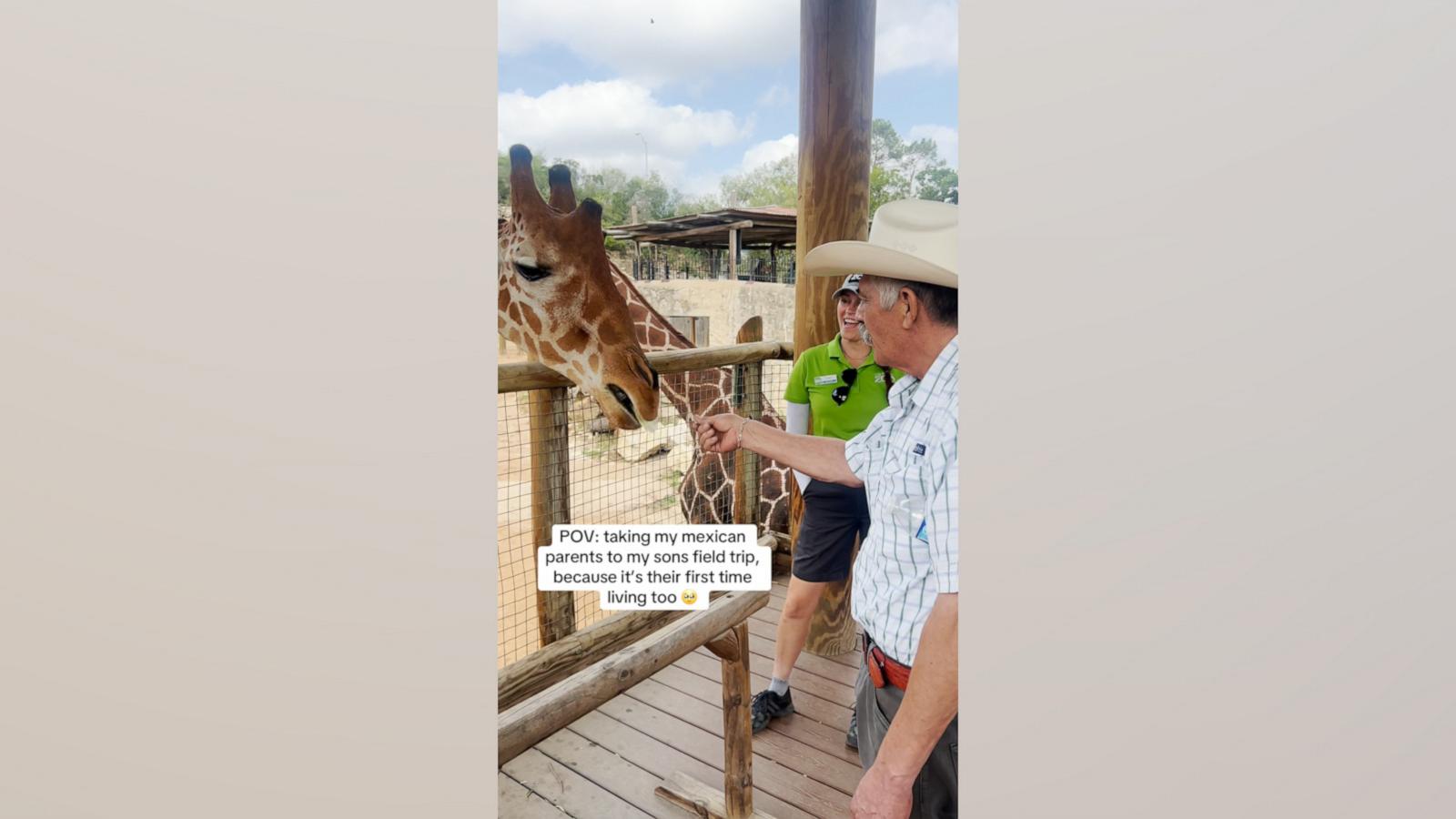 VIDEO: Grandparents join grandson on field trip to the zoo