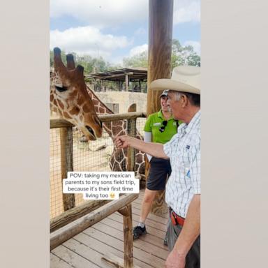 VIDEO: Grandparents join grandson on field trip to the zoo