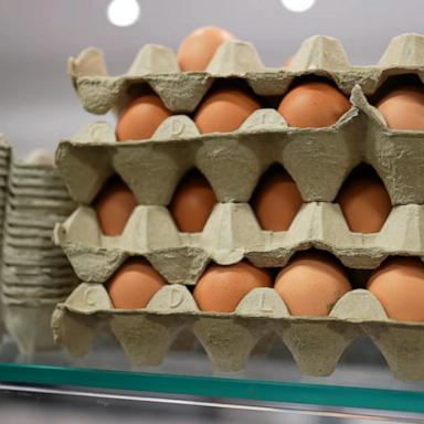 VIDEO: Why are eggs in short supply?