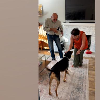 VIDEO: Parents make up adorable song and dance for friend's dog 