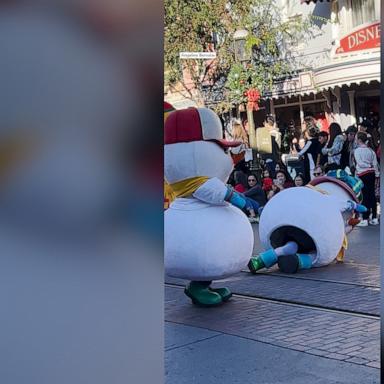 The adorable snowman was helped by their fellow snowmen after falling during a holiday parade.