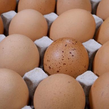 VIDEO: Recall for Costco organic eggs