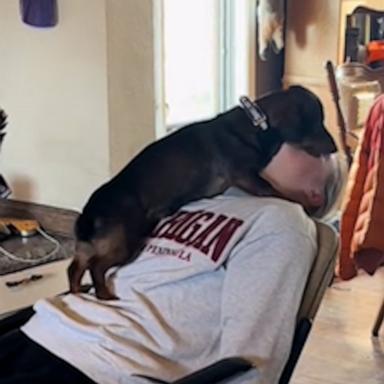 Wallace the dachshund couldn't get enough of Lexi, who was returning home for break from Illinois State University.