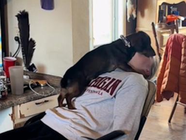 WATCH:  Family dog gives college student special welcome home