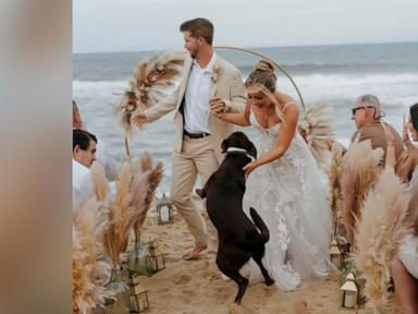 WATCH:  Couple's dog has the best time at their beach wedding