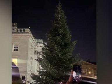 WATCH:  Crowd reacts to hilarious Christmas tree lighting fail at Dublin's Trinity College