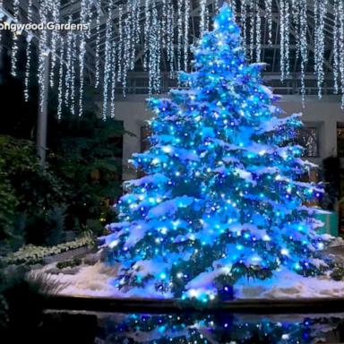 VIDEO: ‘GMA’ visits Longwood Gardens’ holiday display