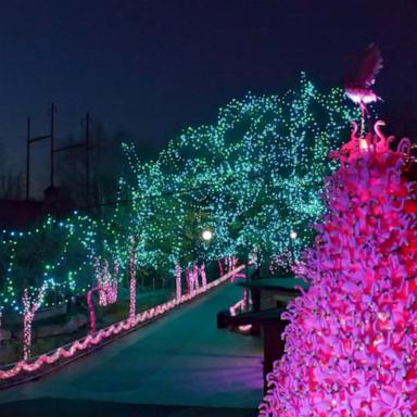 VIDEO: Philadelphia Zoo lights up for the holidays