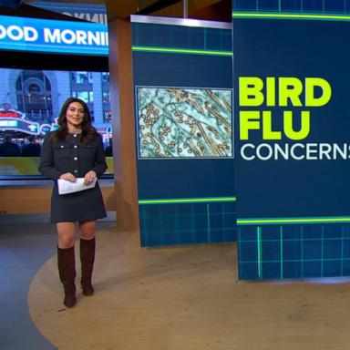 VIDEO: CDC confirms 1st case of severe bird flu in US