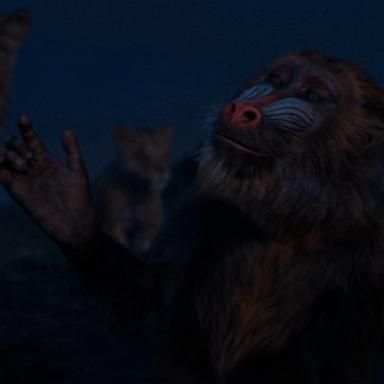 All your favorite animals from Pride Rock are back in theaters on December 20th in "Mufasa: The Lion King."