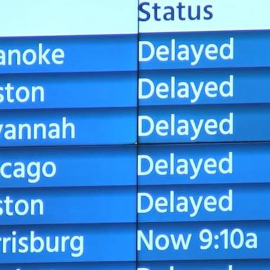 VIDEO: Amtrak suspends trains in Northeast