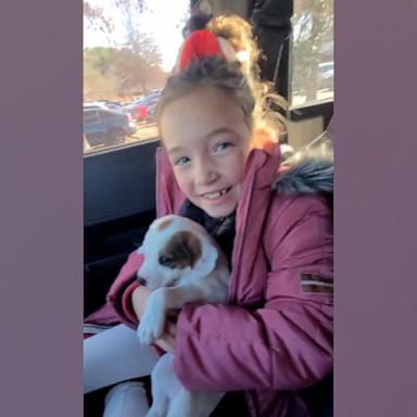 Tabitha Grayson surprised her daughter, Georgia, with an adorable puppy while picking her up from school.