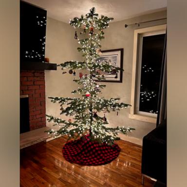 VIDEO: Family unexpectedly finds a ‘Charlie Brown’ Christmas tree 