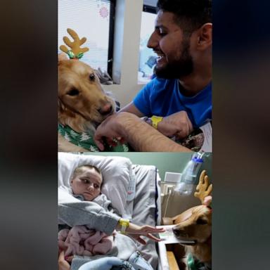  Annie and her handler help assist in therapy sessions with patients in TIRR Memorial Hospital in Houston, many of whom have enduring life-altering conditions. Now, she’s spreading holiday cheer.