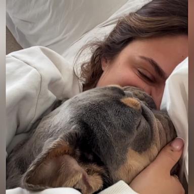 VIDEO: Frenchie is hilariously obsessed with his mom, won't let her in the bath without him