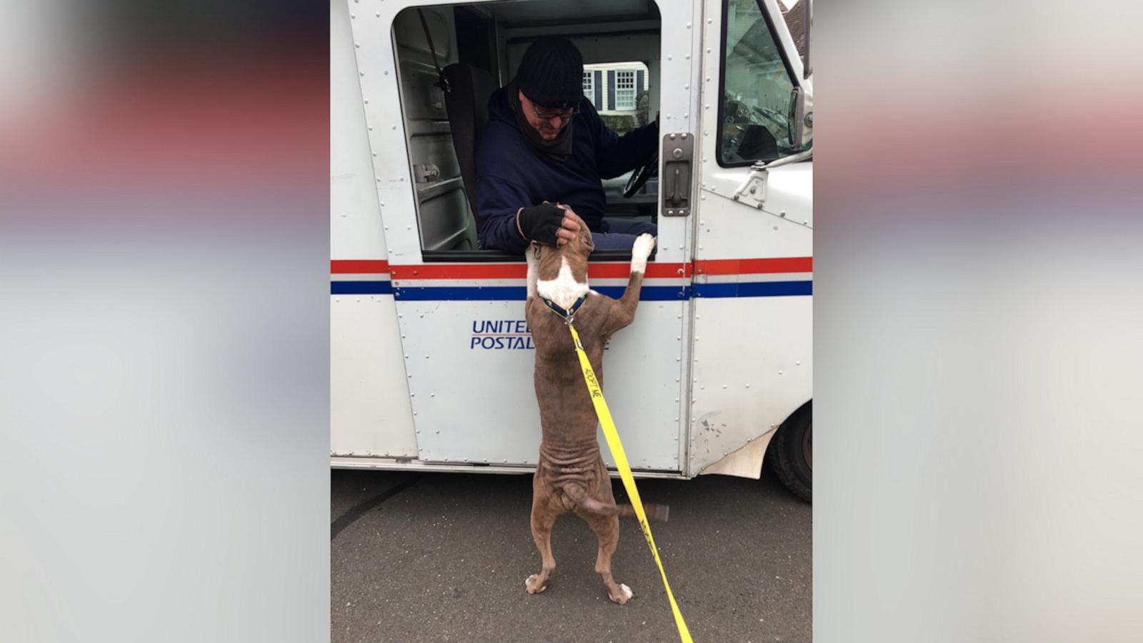 VIDEO: Mailman receives special sendoff after nearly 40 years of service