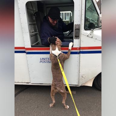 VIDEO: Mailman receives special sendoff after nearly 40 years of service