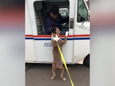 WATCH:  Mailman receives special sendoff after nearly 40 years of service