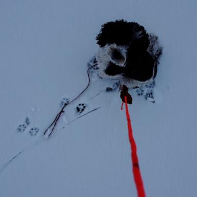 Kishan Patel used his drone to help authorities rescue a dog who spent hours on a frozen lake in New Jersey.