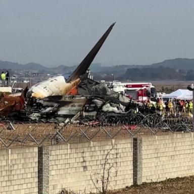 VIDEO: 179 dead in South Korean plane crash