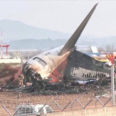 VIDEO: Survivor speaks out after deadly plane crash in South Korea