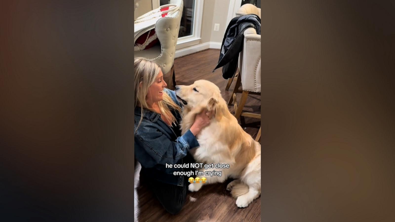 VIDEO: My golden retriever can't contain his excitement when my best friend shows up