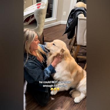 VIDEO: My golden retriever can't contain his excitement when my best friend shows up