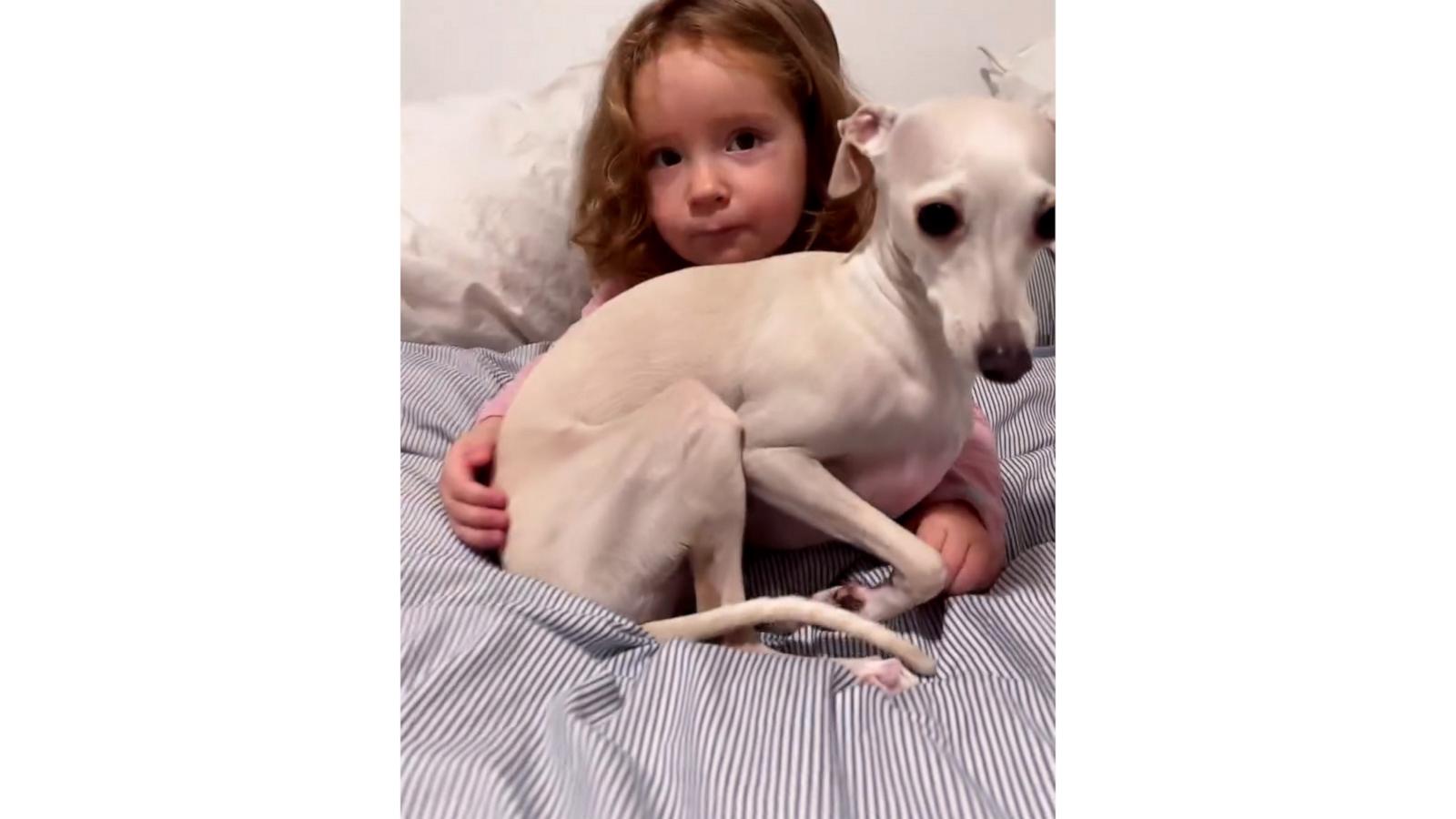 VIDEO: Toddler and her dog have never been apart