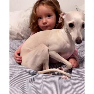 VIDEO: Toddler and her dog have never been apart