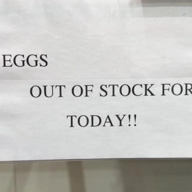 VIDEO: Egg prices skyrocket amid bird flu spread