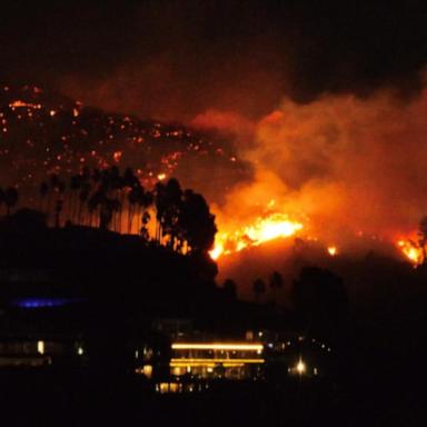 VIDEO: Sunset Fire breaks out overnight in Hollywood Hills