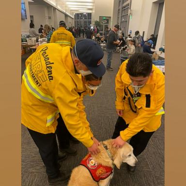 Victor Laveaga and his 11-year-old dog Jack have been greeting first responders returning from the fire line and displaced families at evacuation centers to deliver hope.