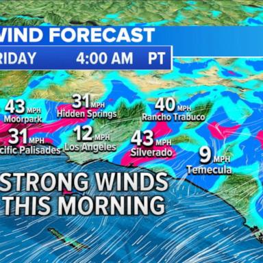 VIDEO: Winds pick up overnight in Southern California