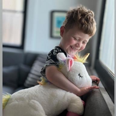 The LA Lost Stuffy Project aims to help replace beloved items like stuffed animals, toys and blankets for kids who were displaced by the devastating Los Angeles area fires.