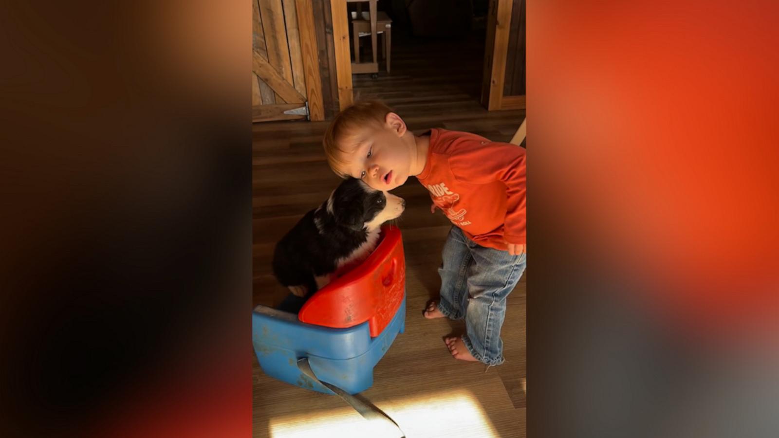 One-year-old Cooper and puppy Buddy are the cutest duo.