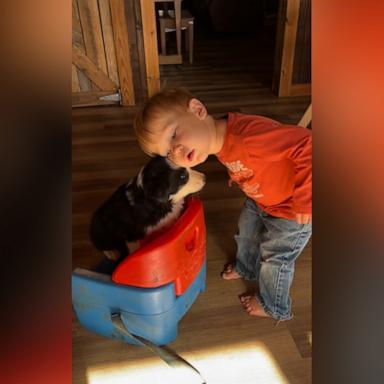 One-year-old Cooper and puppy Buddy are the cutest duo. 