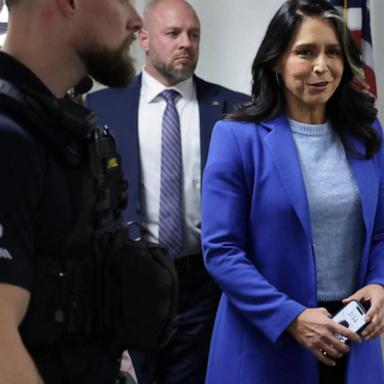 Tulsi Gabbard faces Senate hearing