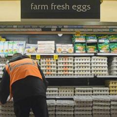 Bird flu concerns for New York