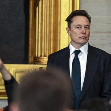 VIDEO: Judge temporarily blocks Elon Musk’s team from Treasury system