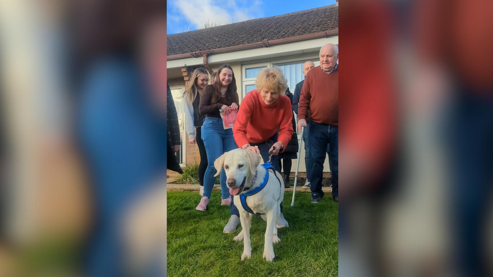 Daisy's original owners said they kept a photo of her on their mantelpiece and would look at it and think about her every day.