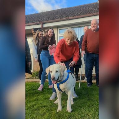 Daisy's original owners said they kept a photo of her on their mantelpiece and would look at it and think about her every day.