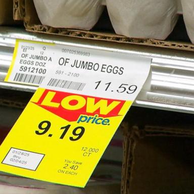 VIDEO: Skyrocketing egg prices hit consumers hard