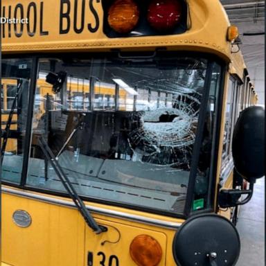 VIDEO: School bus driver keeps calm after being hit with flying metal