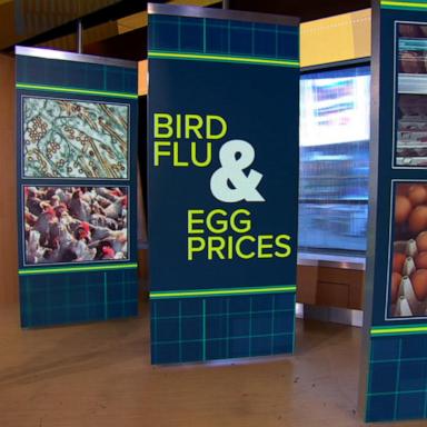 VIDEO: Egg prices soar as bird flu continues to spread