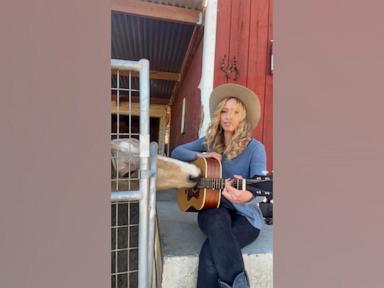 WATCH:  Horse and musician strum guitar together