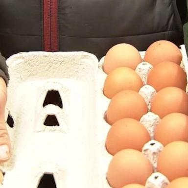 VIDEO: Turkey to send 15,000 tons of eggs to US amid bird flu outbreak