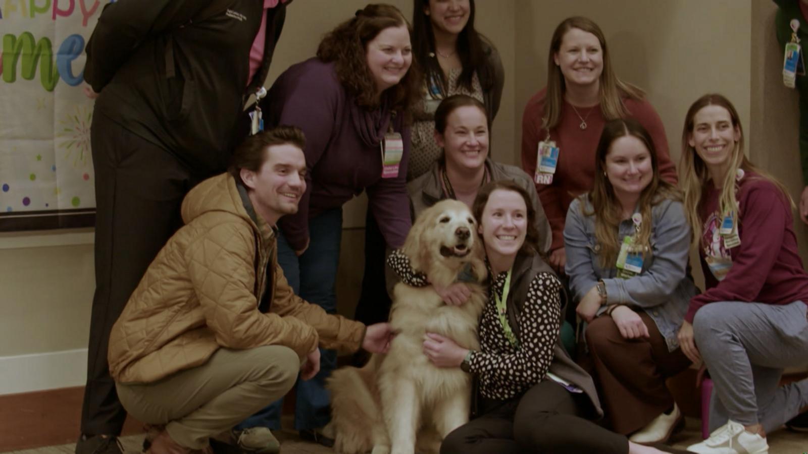 VIDEO: Therapy dogs celebrate retirement with farewell party